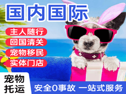 上海机场邮寄国际宠物托运 【国
